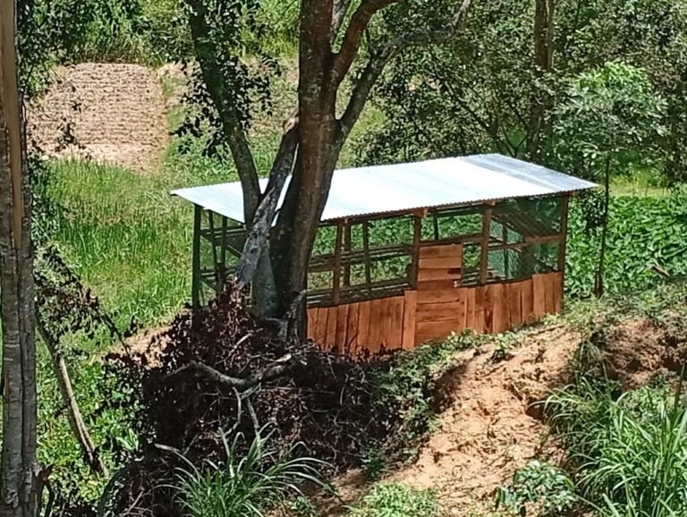 How 20K Apiaries Are Changing Lives Across Central Kenya