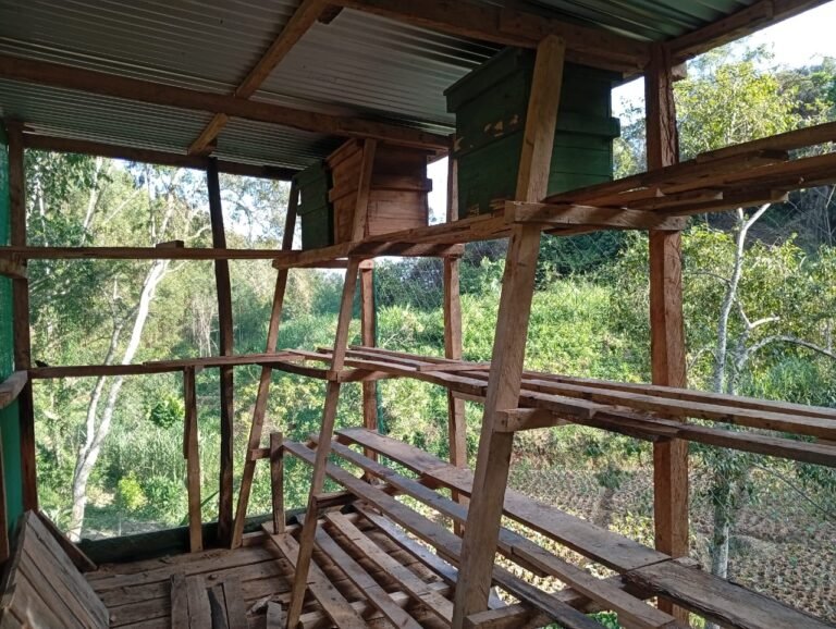 Beekeeping as a Climate-Smart Solution for Rural Communities